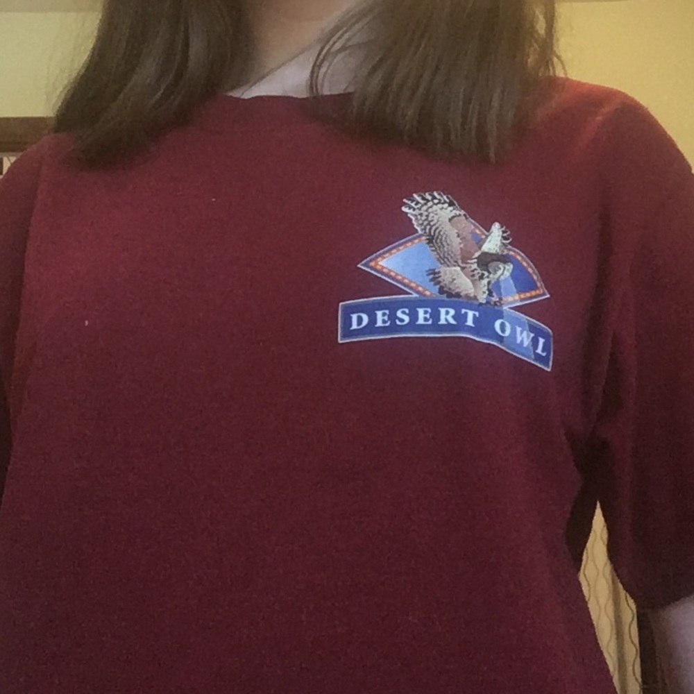 desert owl graphic tee